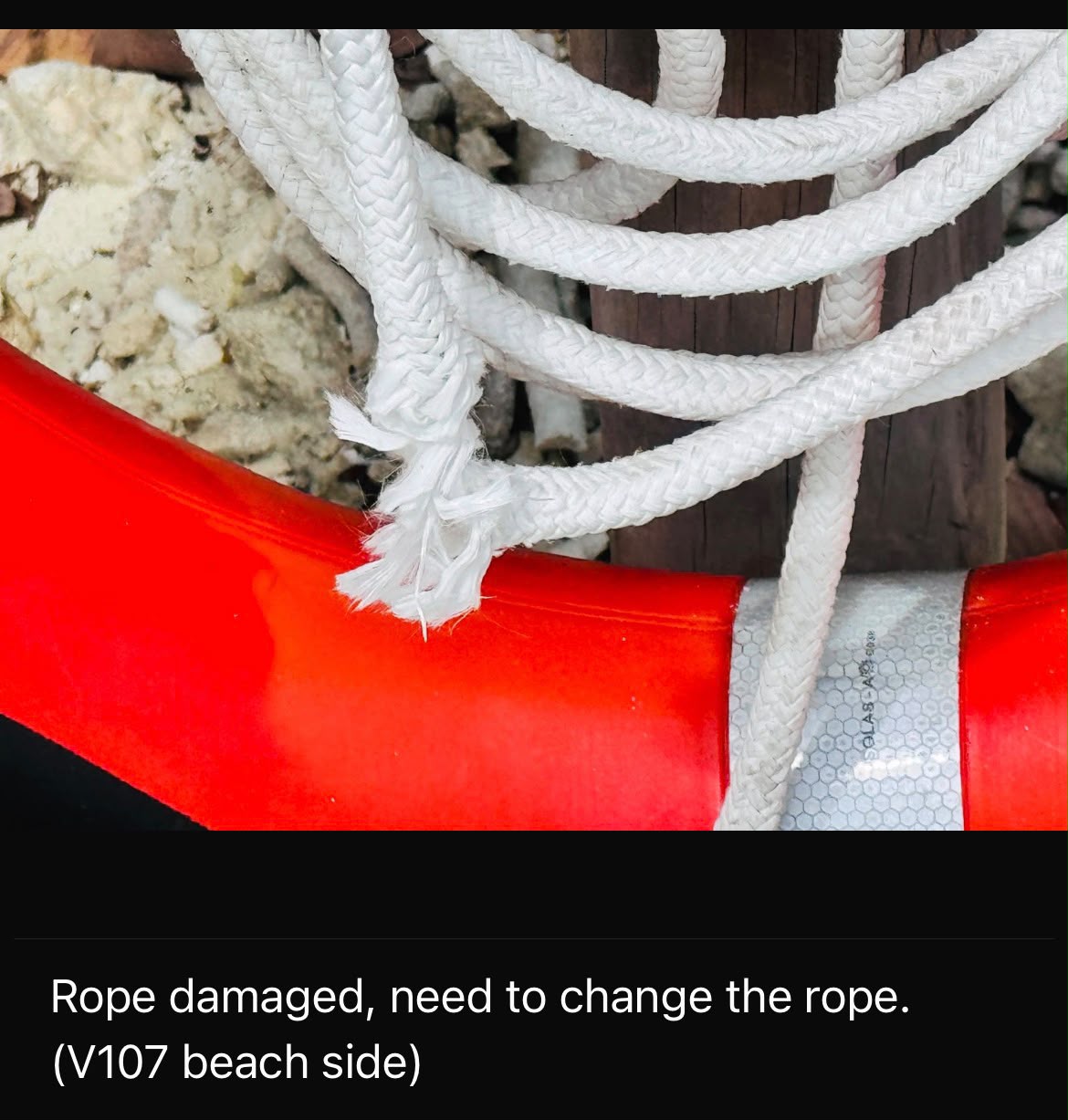 A frayed rope on a life ring by the beach
